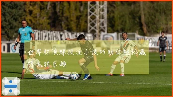 世界杯滚球投注小技巧助你轻松赢得竞猜乐趣
