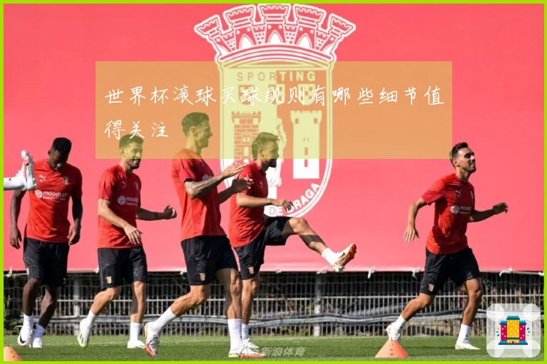 世界杯滚球买球规则有哪些细节值得关注