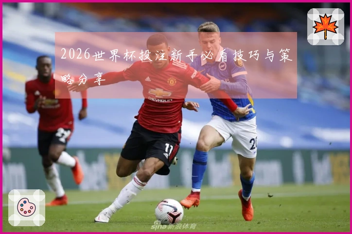 2026世界杯投注新手必看技巧与策略分享