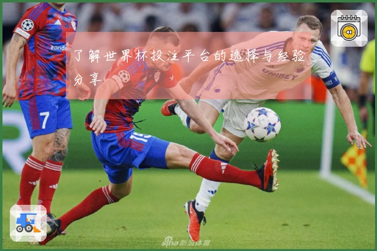 了解世界杯投注平台的选择与经验分享