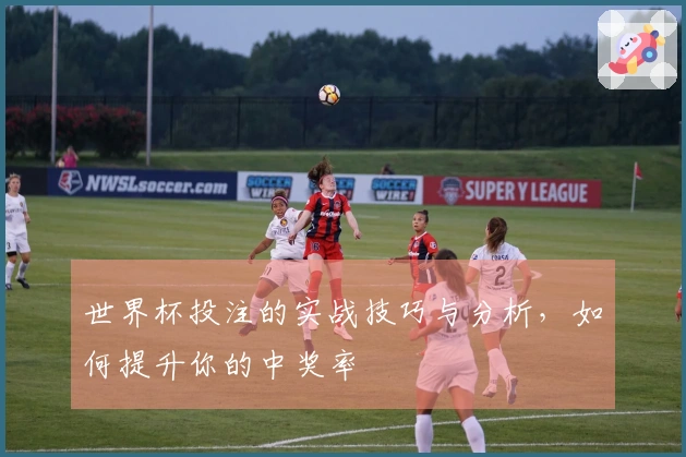 世界杯投注的实战技巧与分析，如何提升你的中奖率