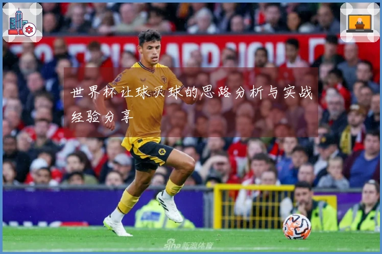 世界杯让球买球的思路分析与实战经验分享