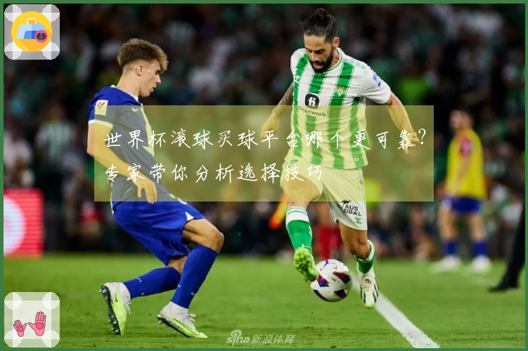 世界杯滚球买球平台哪个更可靠？专家带你分析选择技巧