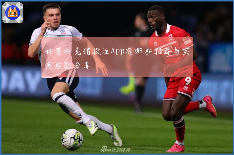 世界杯竞猜投注App有哪些推荐与实用经验分享