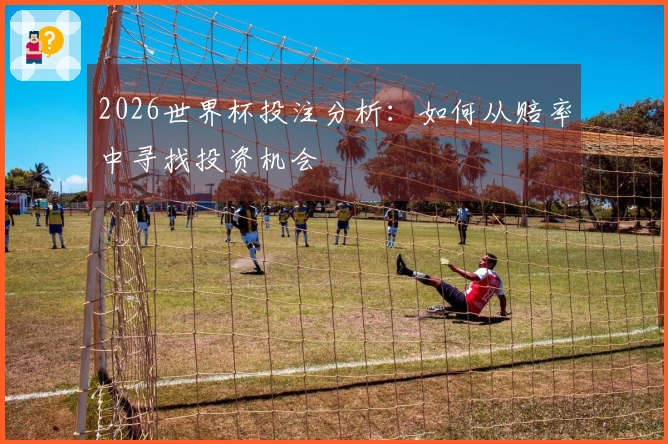 2026世界杯投注分析：如何从赔率中寻找投资机会