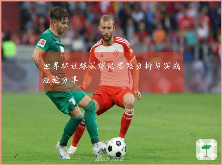 世界杯让球买球的思路分析与实战经验分享