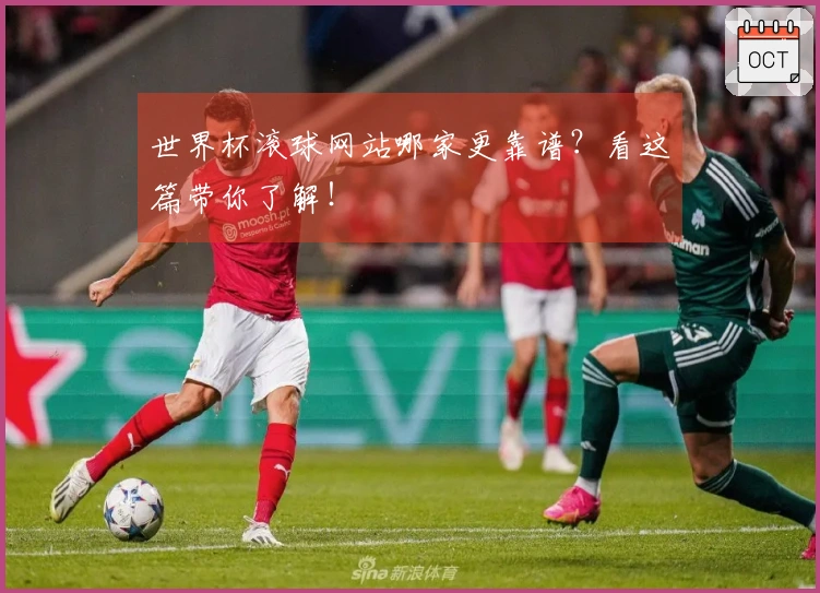 世界杯滚球网站哪家更靠谱？看这篇带你了解！