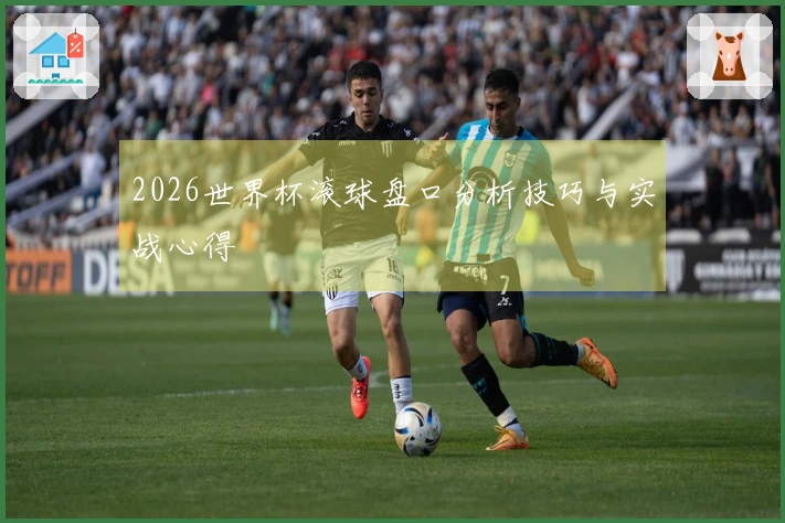 2026世界杯滚球盘口分析技巧与实战心得