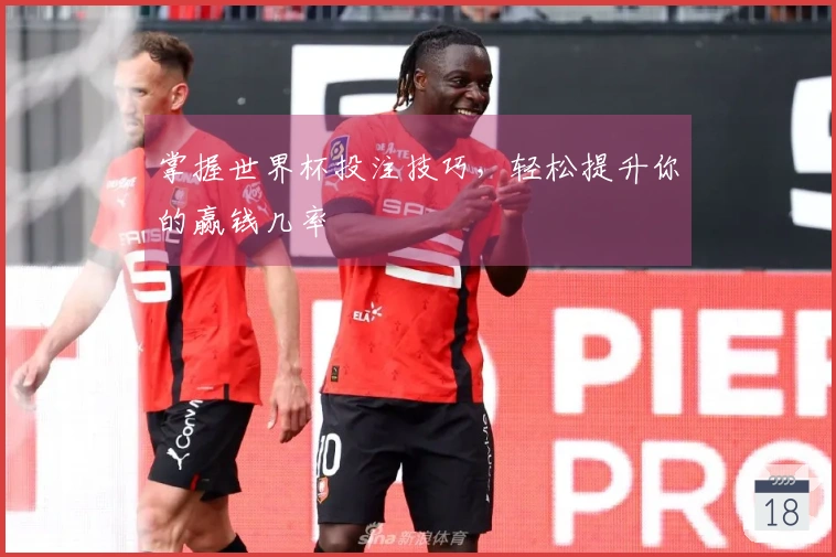 掌握世界杯投注技巧，轻松提升你的赢钱几率