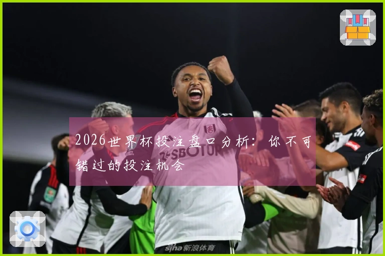 2026世界杯投注盘口分析：你不可错过的投注机会